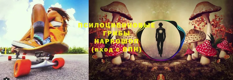 Галлюциногенные грибы Magic Shrooms  где купить наркотик  Асбест 